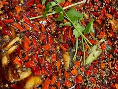 -味之绝热血美蛙鱼火锅(中坝店)