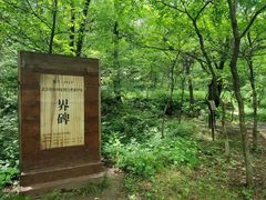 -玉渡山自然风景区