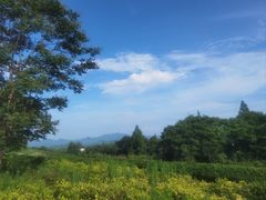 -莫干山风景区