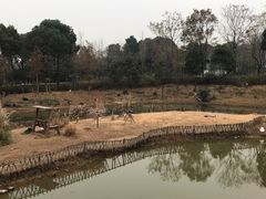 -无锡动物园·太湖欢乐园