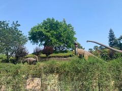 -自贡恐龙博物馆