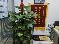 -金博智慧注意力感统训练(回龙观校区)