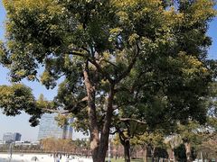 -大宁公园