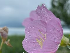 -苏州吴中太湖旅游区