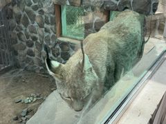 -青藏高原野生动物园