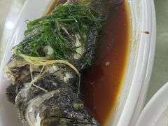 清蒸活海鱼-锐记美食店·现捞海鲜(闸坡店)