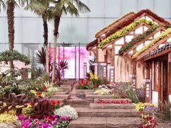 -重庆市江北嘴中央商务区中央公园