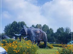 -北京野生动物园