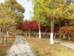 -白塘生态植物园
