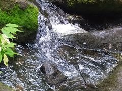 -汤旺河林海奇石景区