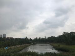 -白鹭湾湿地公园