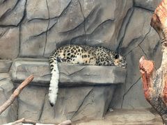 -青藏高原野生动物园