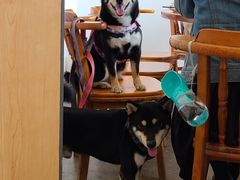 -前小桔亲子创意农场·草莓采摘·露营烧烤