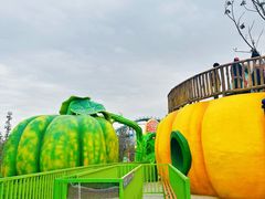 -水上乐园·欢乐世界