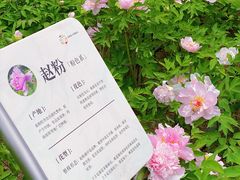 -太阳宫公园