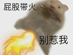 -龍歌自助小火锅(兰山上海路万达店)