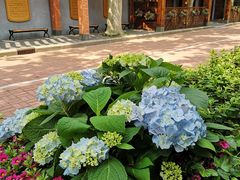 -上海孙中山故居纪念馆
