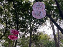 -广州市白云山风景名胜区
