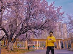 -丰台花园