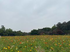 -保利石象湖景区