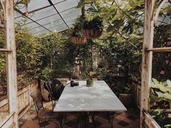 -The Grounds of Alexandria