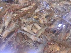 -聚盛源蒸汽海鲜火锅烤肉自助(巨川金海岸购物广场店)