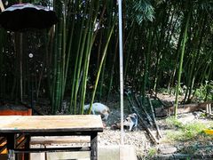 -小河无名面馆