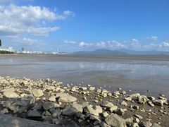 -深圳湾公园(南山区)