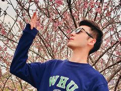 -武汉大学图书馆·文理学部总馆