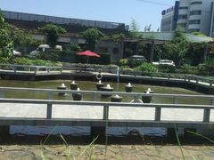 -渔堂公园餐厅·本帮菜(乐园路店)