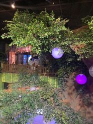 -Zoolung Zoolung动物主题公园(海信广场店)