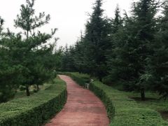 -洨河生态公园