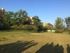 -上海崇明金茂凯悦酒店