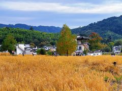 -塔川景区