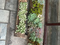 -苍山感通索道