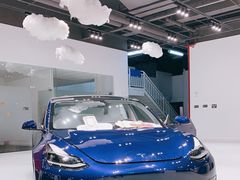 -TESLA 特斯拉(深圳观澜特斯拉直营钣喷中心)
