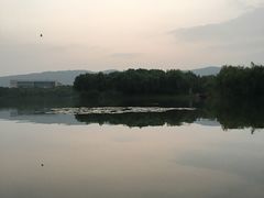 -江南大学(蠡湖校区)