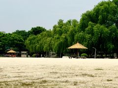 -滨湖塘西河公园