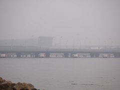 -吴淞炮台湾湿地森林公园烧烤区