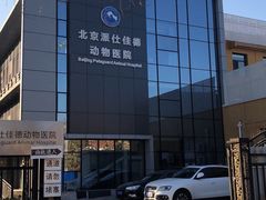 -北京派仕佳德动物医院·超导核磁·CT·神经科·骨科·内外科·急重症管理中心