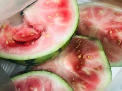 -老杨砂锅鱼庄