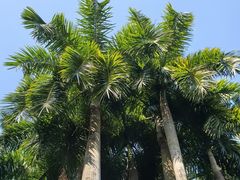 -南宁南湖公园