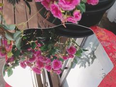 -玉林生活广场
