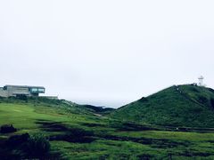 -涉地可支