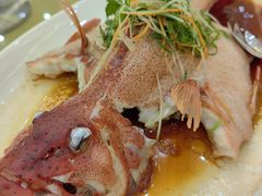 东星斑-轩记海鲜餐厅·四十五年老字号·经典粤菜(西区彩虹店)