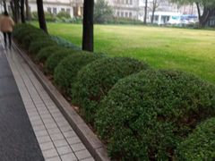 -上海市第八中学