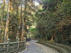 -安溪清水岩