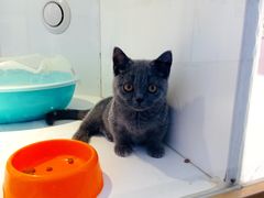 -龟与熊猫宠物公园(南坪店)