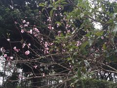 -牛鱼嘴原始生态风景区