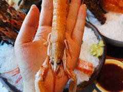 -枫千叶精致料理